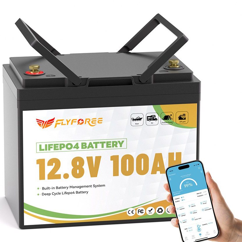 Акумулятор FLYFOREE LiFePO4 12V/100AH (1280W*h), Smart BMS, Bluetooth APP, (літій-залізо-фосфатний акумулятор для ДБЖ (UPS)) 260 мм — общий вид