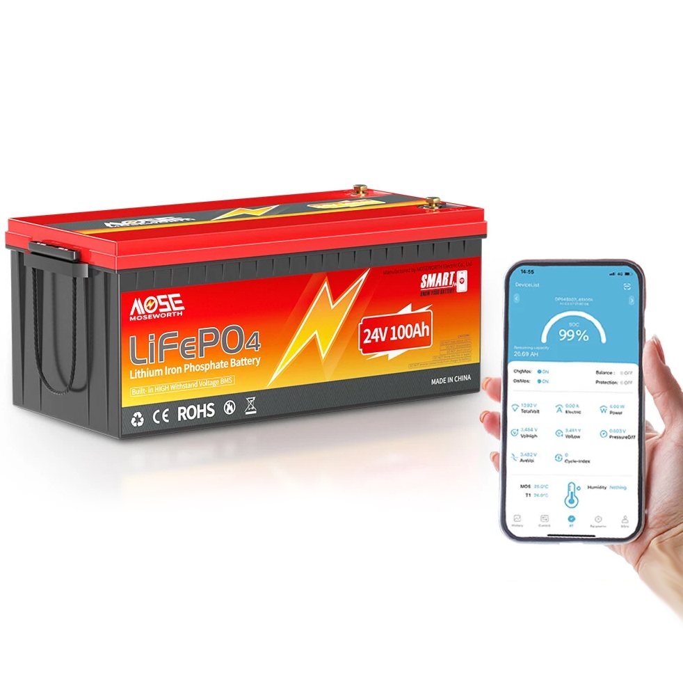 Акумулятор MOSEWORTH LiFePO4 24V/100AH (2560W*h), Smart BMS, Bluetooth APP, (літій-залізо-фосфатний акумулятор для ДБЖ (UPS))