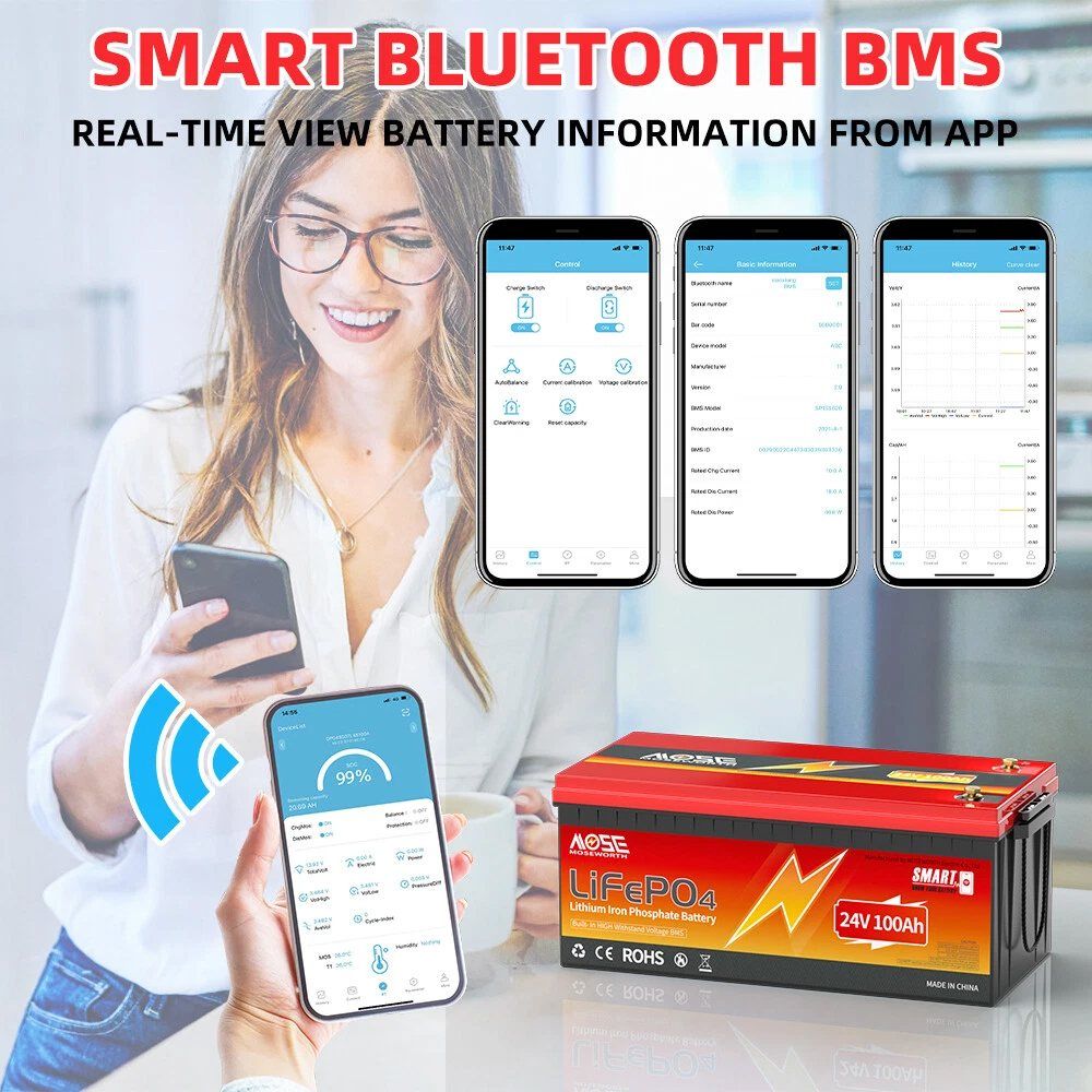 Акумулятор MOSEWORTH LiFePO4 24V/100AH (2560W*h), Smart BMS, Bluetooth APP, (літій-залізо-фосфатний акумулятор для ДБЖ (UPS)) — фото 6