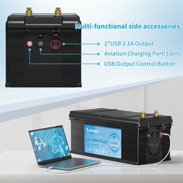 Акумулятор Kepworth LiFePO4 24V/100AH (2560W*h), Smart BMS,Bluetooth APP (літій-залізо-фосфатний акумулятор для ДБЖ (UPS)) — фото 4