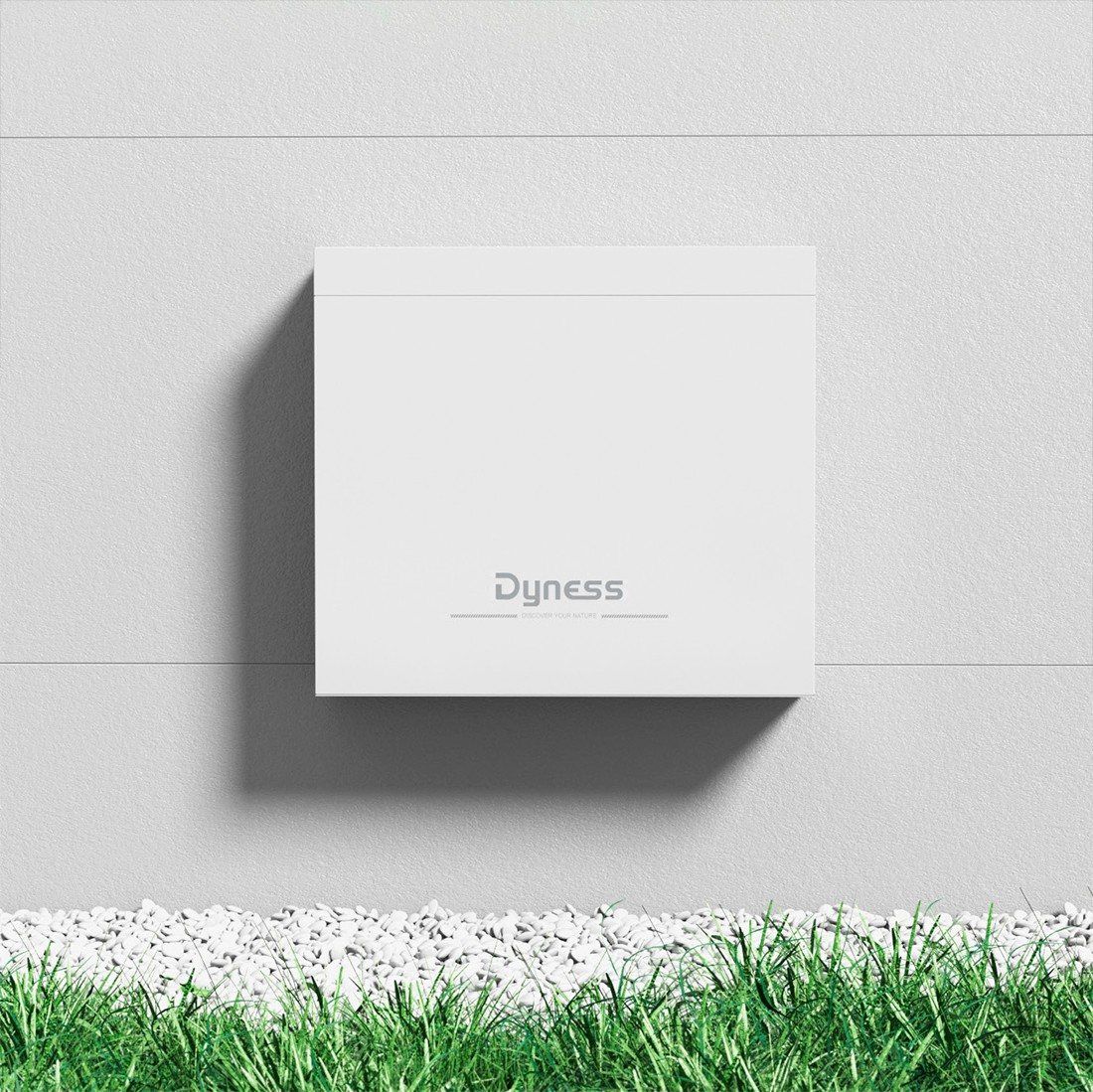 Акумулятор DYNESS 2хB4850-box LiFePO4 48V/100AH (4800W*h) (літій-залізо-фосфатний акумулятор для ДБЖ (UPS))