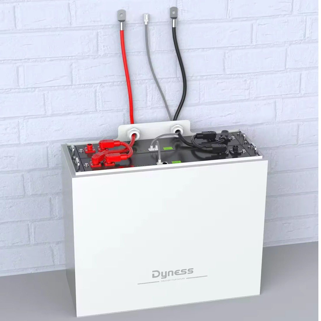 Акумулятор DYNESS 2хB4850-box LiFePO4 48V/100AH (4800W*h) (літій-залізо-фосфатний акумулятор для ДБЖ (UPS)) — фото 3