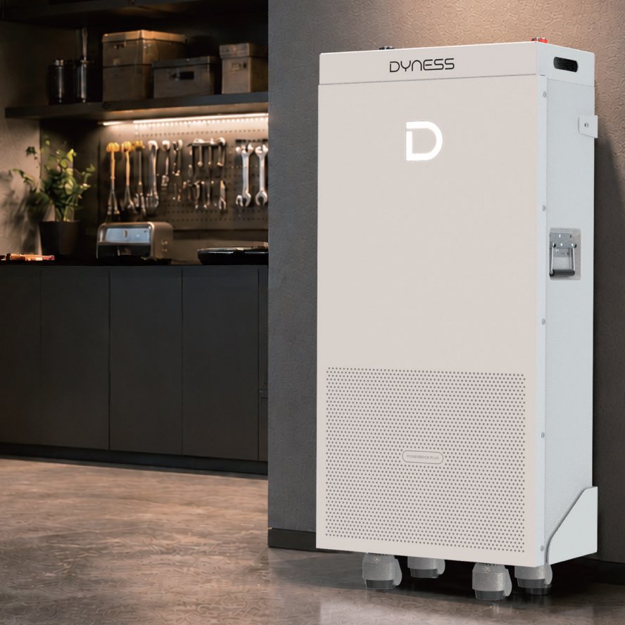 Акумулятор Dyness PowerBrick Plus LiFePO4 51,2V/314Ah (16080W*h) (літій-залізо-фосфатний акумулятор для ДБЖ (UPS)) — фото 5