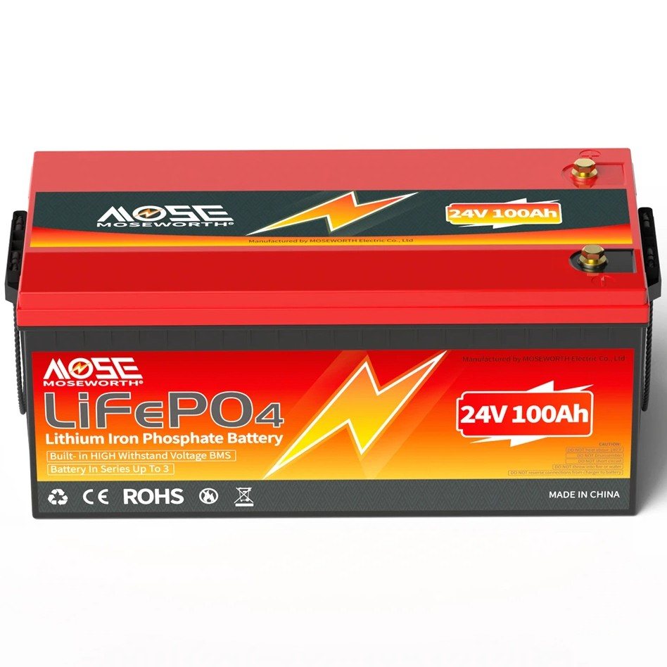 Акумулятор MOSEWORTH LiFePO4 24V/100AH (2560W*h) (літій-залізо-фосфатний акумулятор для ДБЖ (UPS)) — загальний вигляд