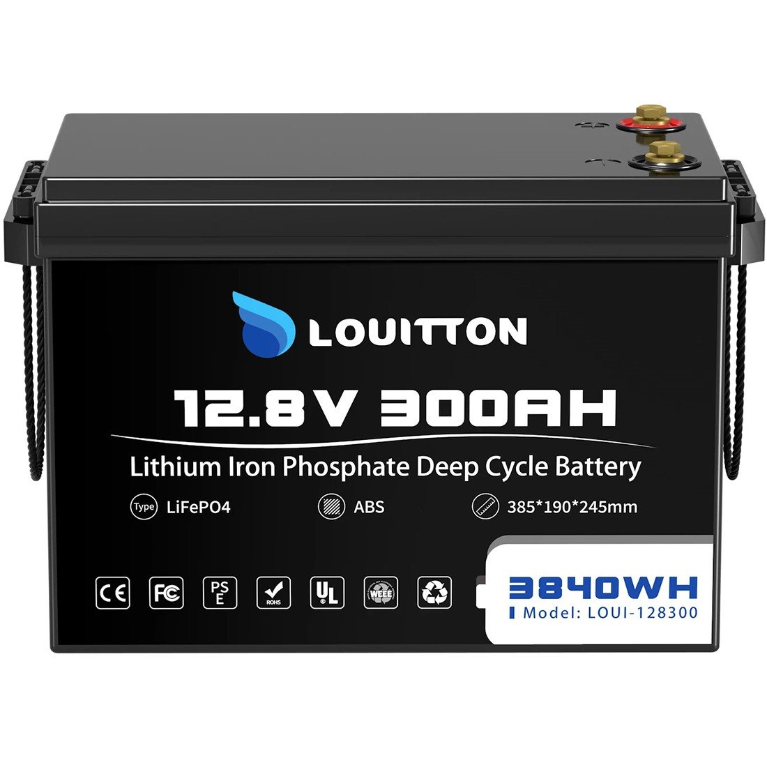 Акумулятор Louitton LiFePO4 12.8V/300AH (3840W*h) (літій-залізо-фосфатний акумулятор для ДБЖ (UPS)) — загальний вигляд
