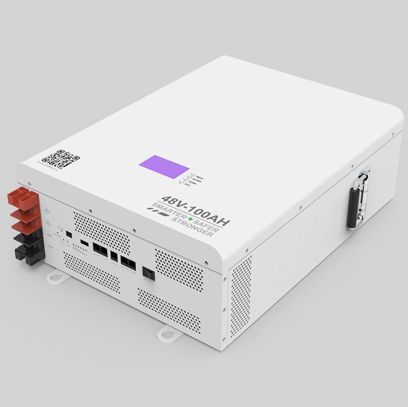 Акумулятор Dipower Wall Mounted 48V/100AH, 4800W*h (BYD NMC, 13S1P, літій-іонний акумулятор для ДБЖ (UPS)) — фото 4