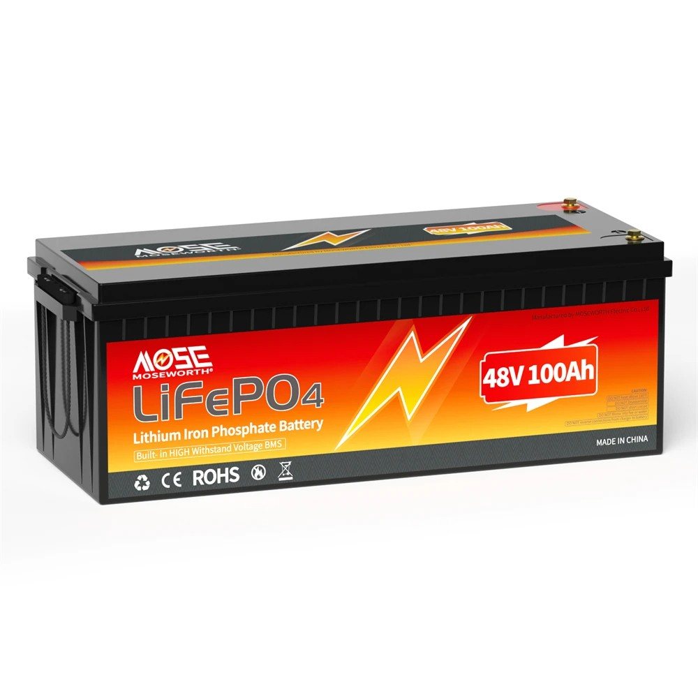 Акумулятор MOSEWORTH LiFePO4 48V/100AH (4800W*h) (літій-залізо-фосфатний акумулятор для ДБЖ (UPS)) — загальний вигляд